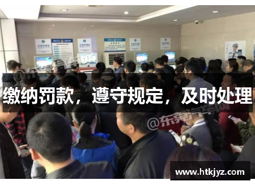 缴纳罚款，遵守规定，及时处理